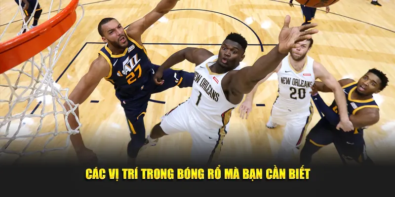 Các vị trí trong bóng rổ mà bạn cần biết