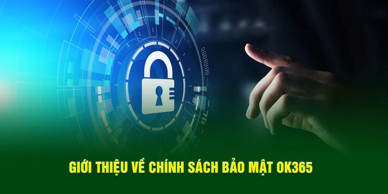 Khám phá giới thiệu chính sách bảo mật OK365