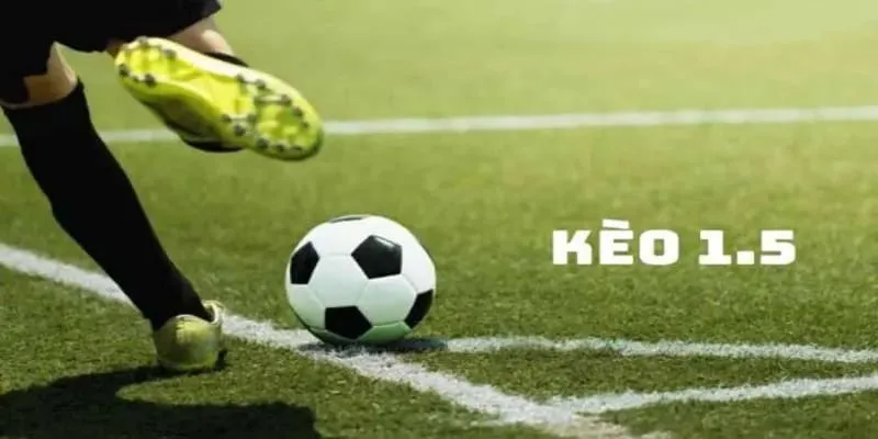Kèo 1.5 Là Gì? Tìm Hiểu cách Đọc Kèo Chuẩn Nhất 2025