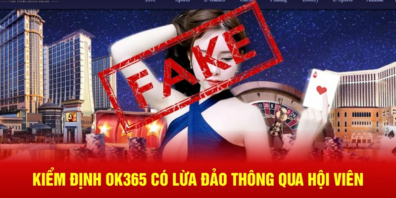 Kiểm định OK365 thông qua các chính sách