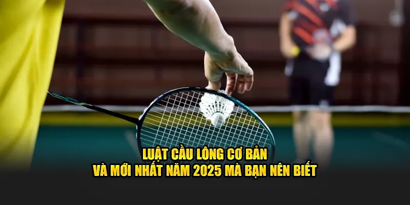 Luật Cầu Lông Căn Bản Và Quan Trọng Mà Bạn Nên Biết