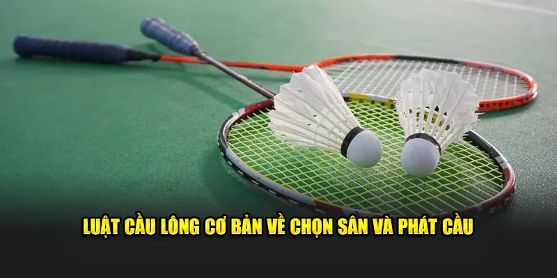 Luật cầu lông cơ bản về chọn sân và phát cầu