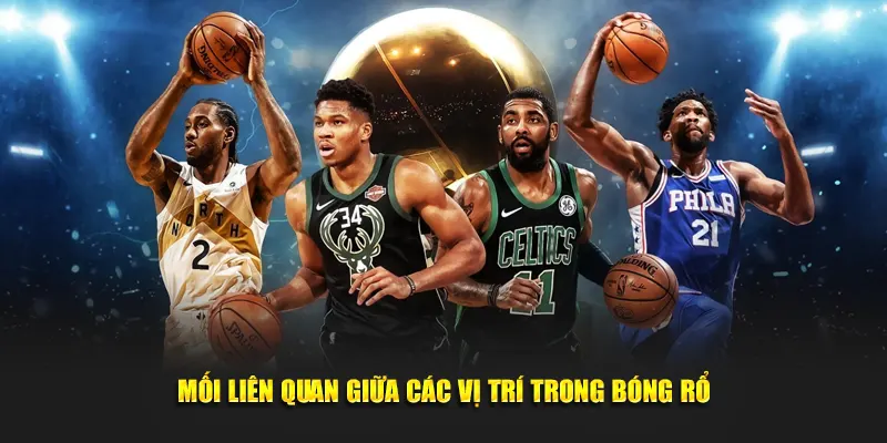 Mối liên quan giữa các vị trí trong bóng rổ