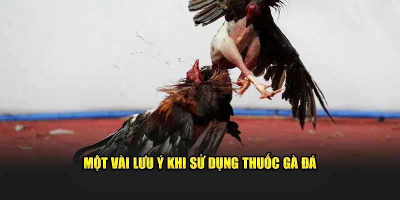 Cần lưu ý gì khi sử dụng thuốc gà đá