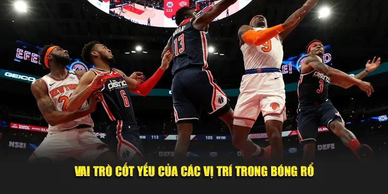 Vai trò cốt yếu của các vị trí trong bóng rổ